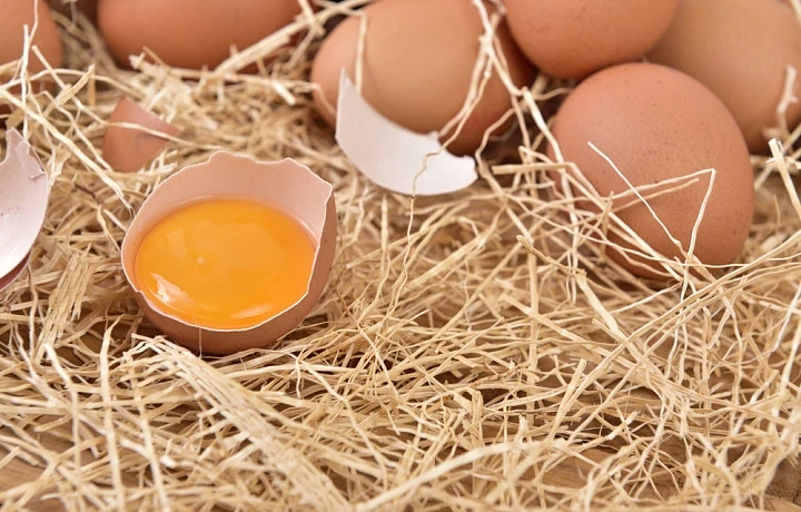 Диетолог Павлова посоветовала есть не больше двух яиц за один прием пищи