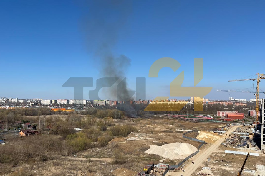 Неизвестные подожгли траву у Суворовского училища в Туле