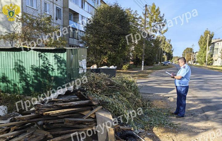 Прокуратура потребовала привести в порядок контейнерные площадки в Воловском районе