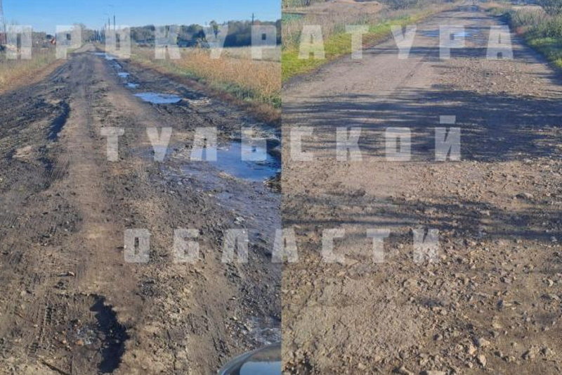 Администрацию Богородицкого района обязали отремонтировать дорогу хутора Александринский