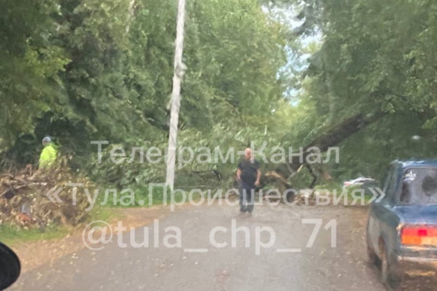 ﻿Упавшее дерево лишило жителей тульского села Слободка электричества