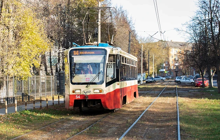 В Туле за сутки 432 человека хотели проехать «зайцами» в общественном транспорте