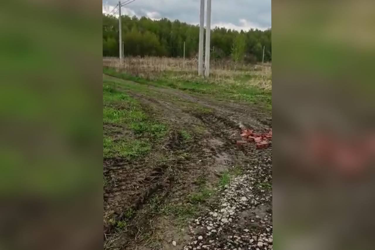 Жители тульской деревни Торхово пожаловались на отсутствие подходов к  сельской школе — ТСН 24