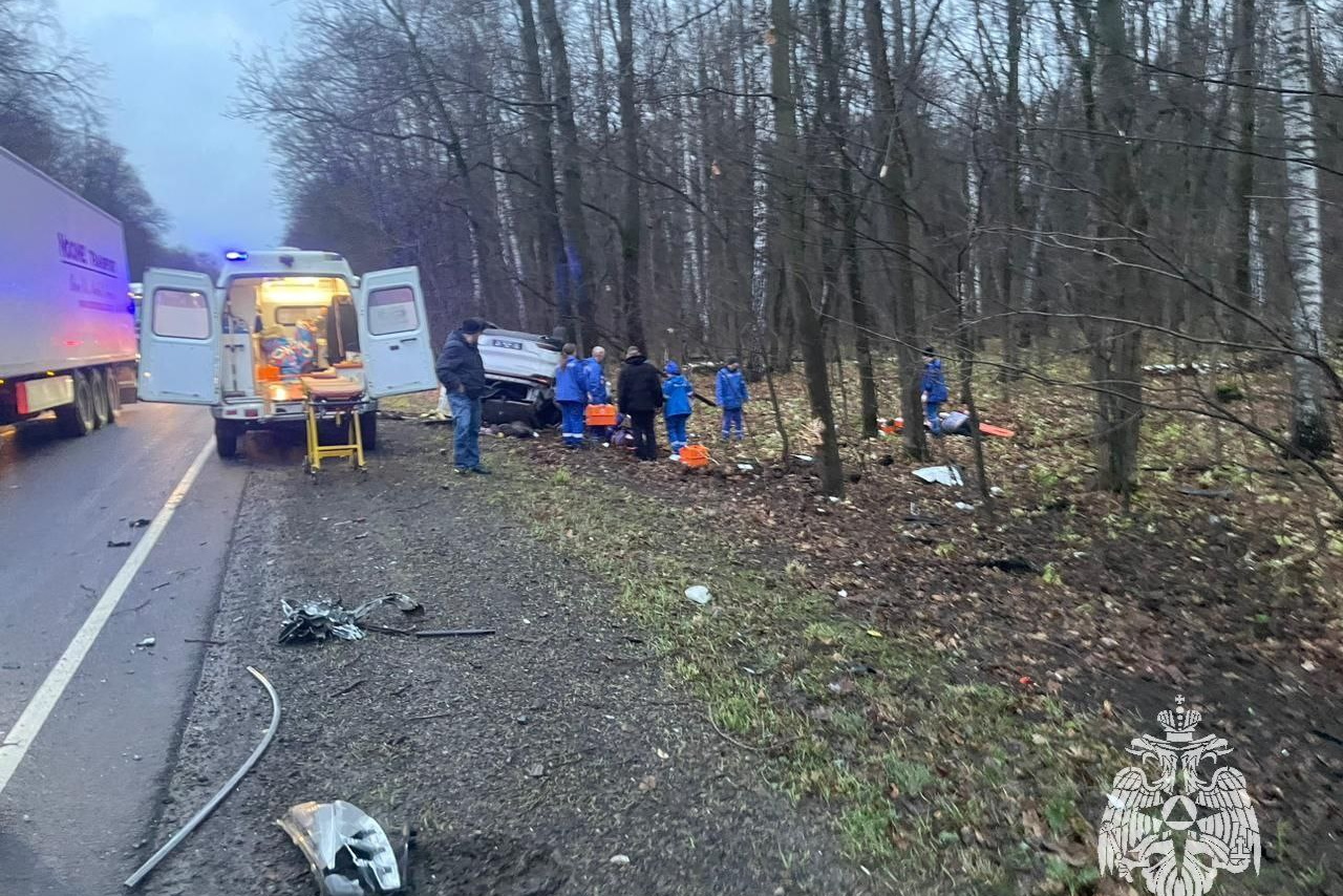 Ребенок погиб и три человека пострадали в ДТП под Богородицком — ТСН 24