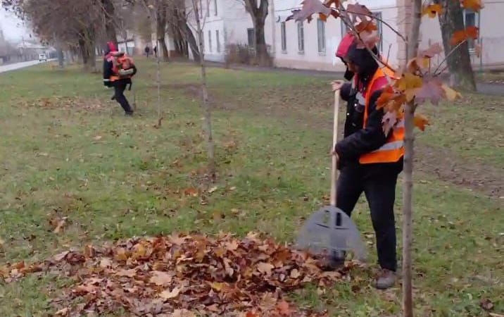 ﻿В уборке Тулы 8 ноября задействовано более 320 человек и около 60 единиц техники