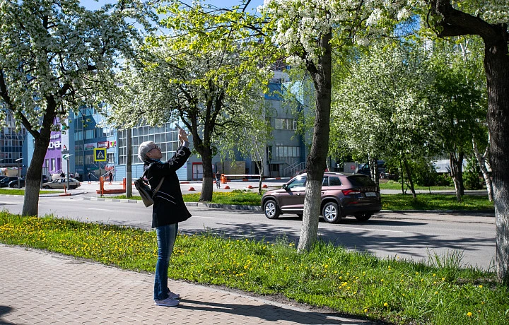 До плюс 25 градусов: какой будет погода в Тульской области 19 апреля До плюс 25 градусов: какой будет погода в Тульской области 19 апреля