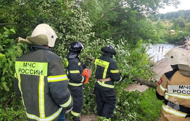 В Одоевском районе спасатели расчистили мостовой переезд через Упу