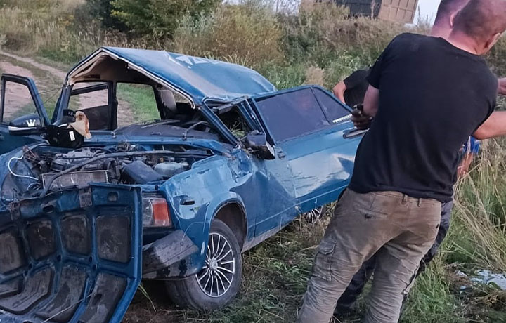 Пьяный водитель на «ВАЗе» вылетел в кювет в Тульской области