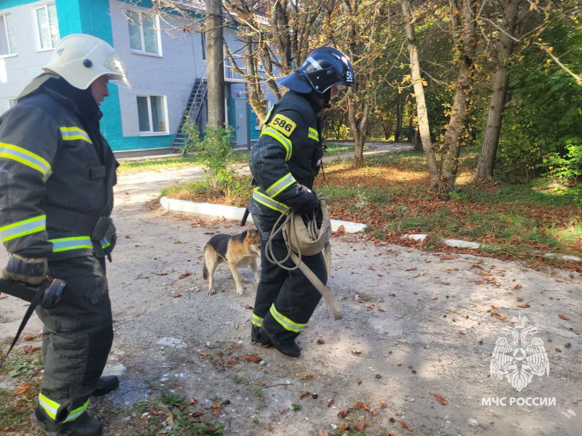 В Тульской области сотрудники МЧС спасли собаку, которая провалилась в колодец