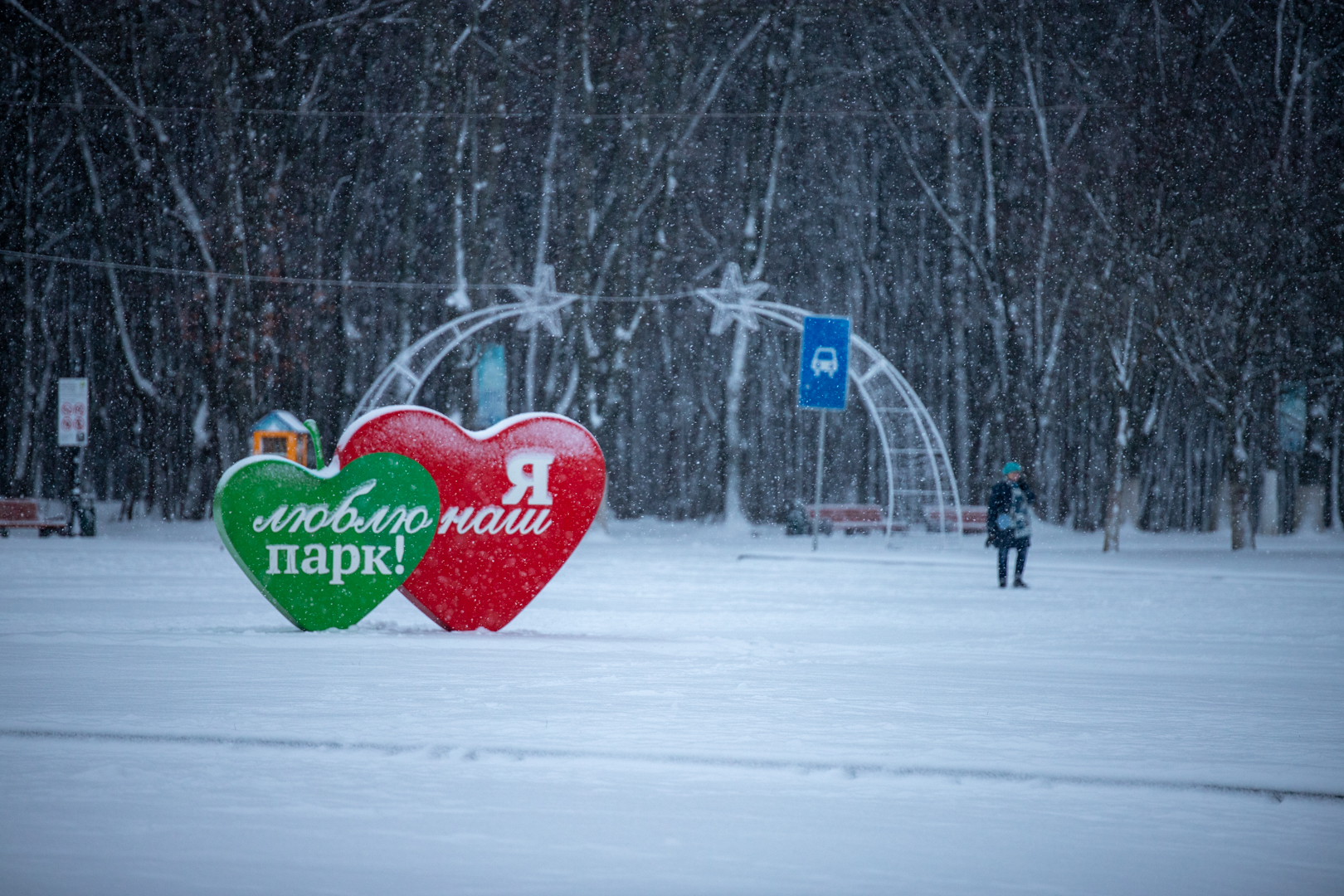 тульский парк зимой