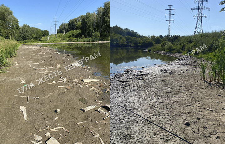 Жители Тулы жалуются на состояние пруда в Рогожинском парке