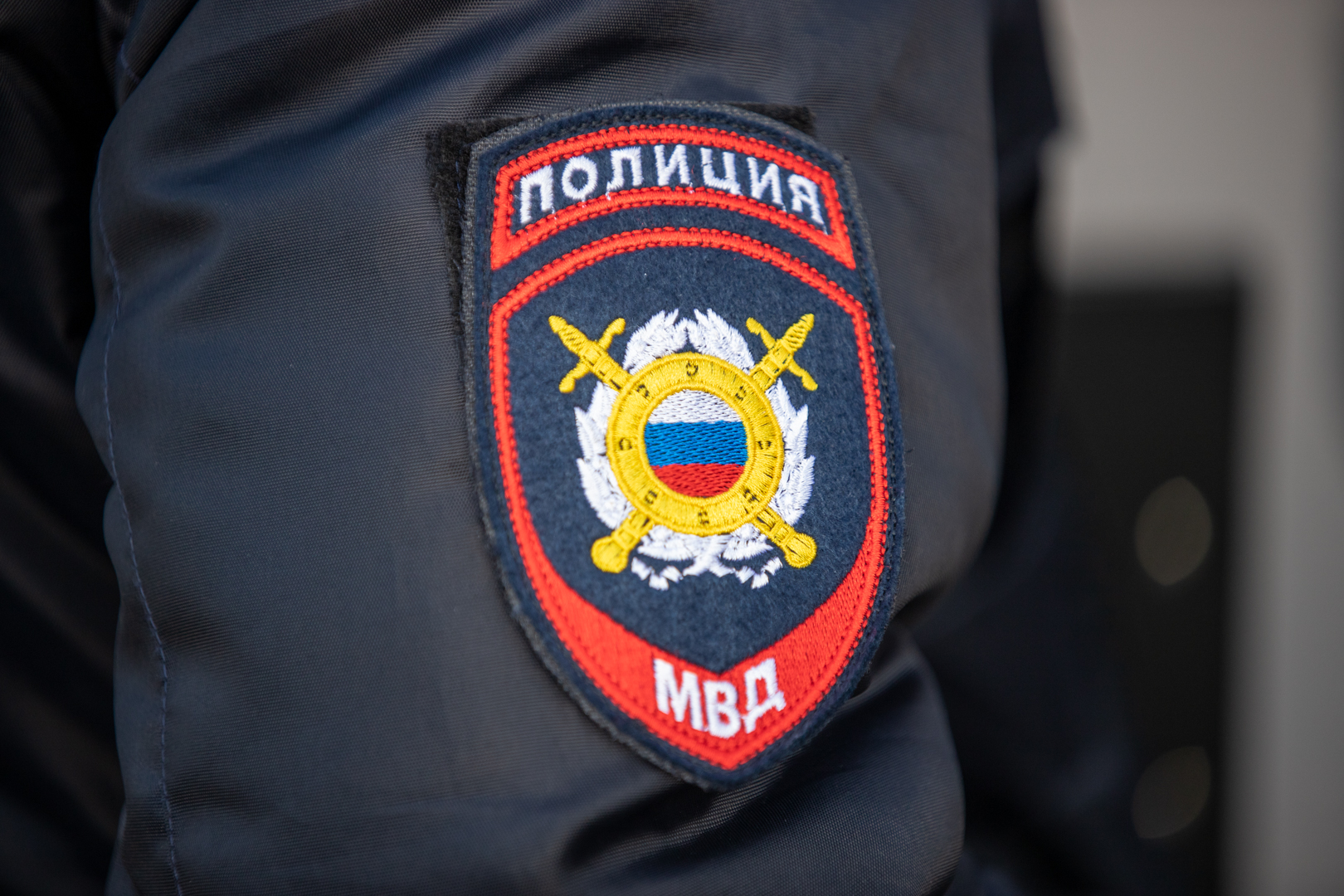 ﻿В Кимовске обнаружили труп женщины, обглоданный собаками