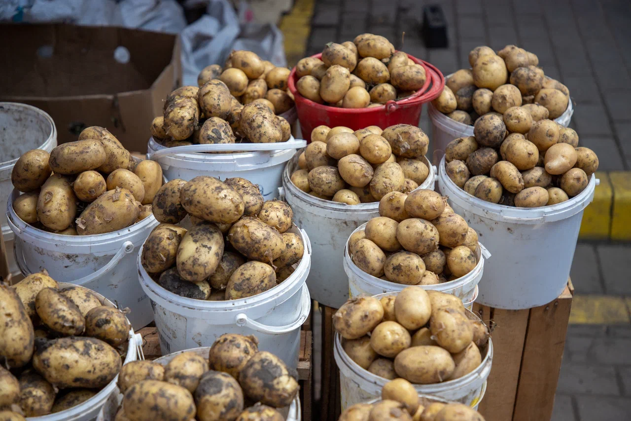 За неделю картофель в Тульской области подорожал на 12%