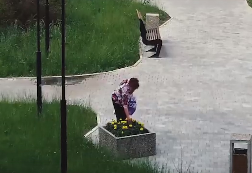 В Узловой сняли на видео пенсионерку с внуком, укравшую цветы с клумбы