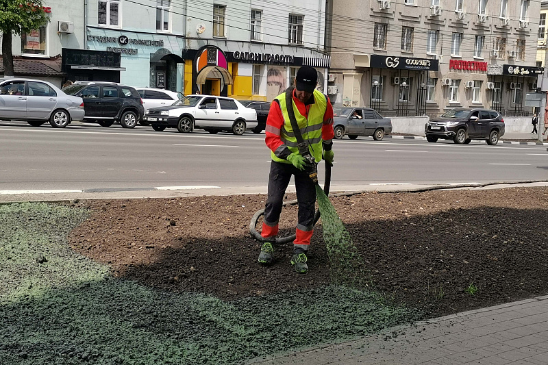 На улицах Тулы появятся жидкие газоны