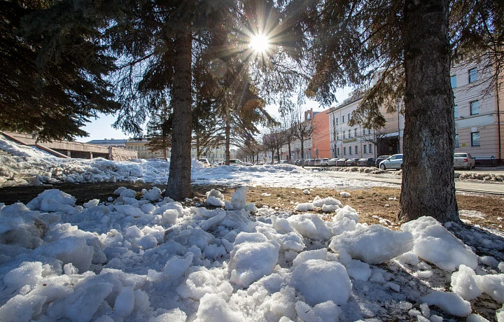 30 марта в Тульской области без осадков и до +16°С. Свежие новости на сайте cleartagil.ru