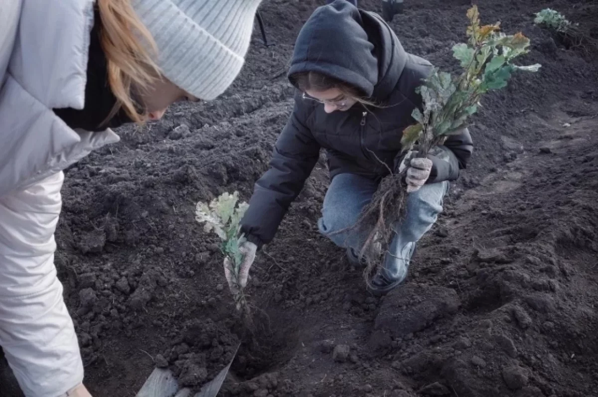 На Куликовом поле состоялась экологическая акция «Зеленая дубрава»