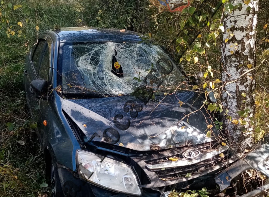 В Ясногорском районе девушка на Lada Granta слетела в кювет и врезалась в дерево