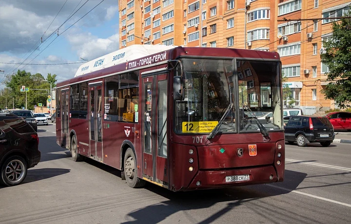 В Туле за сутки 599 человек пытались проехать «зайцами» в общественном транспорте