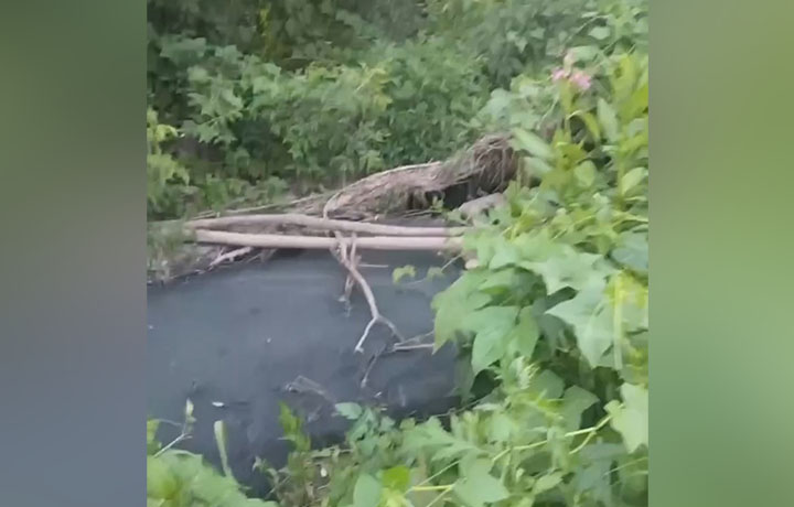 Жители Алексина жалуются на загрязнение местной речки