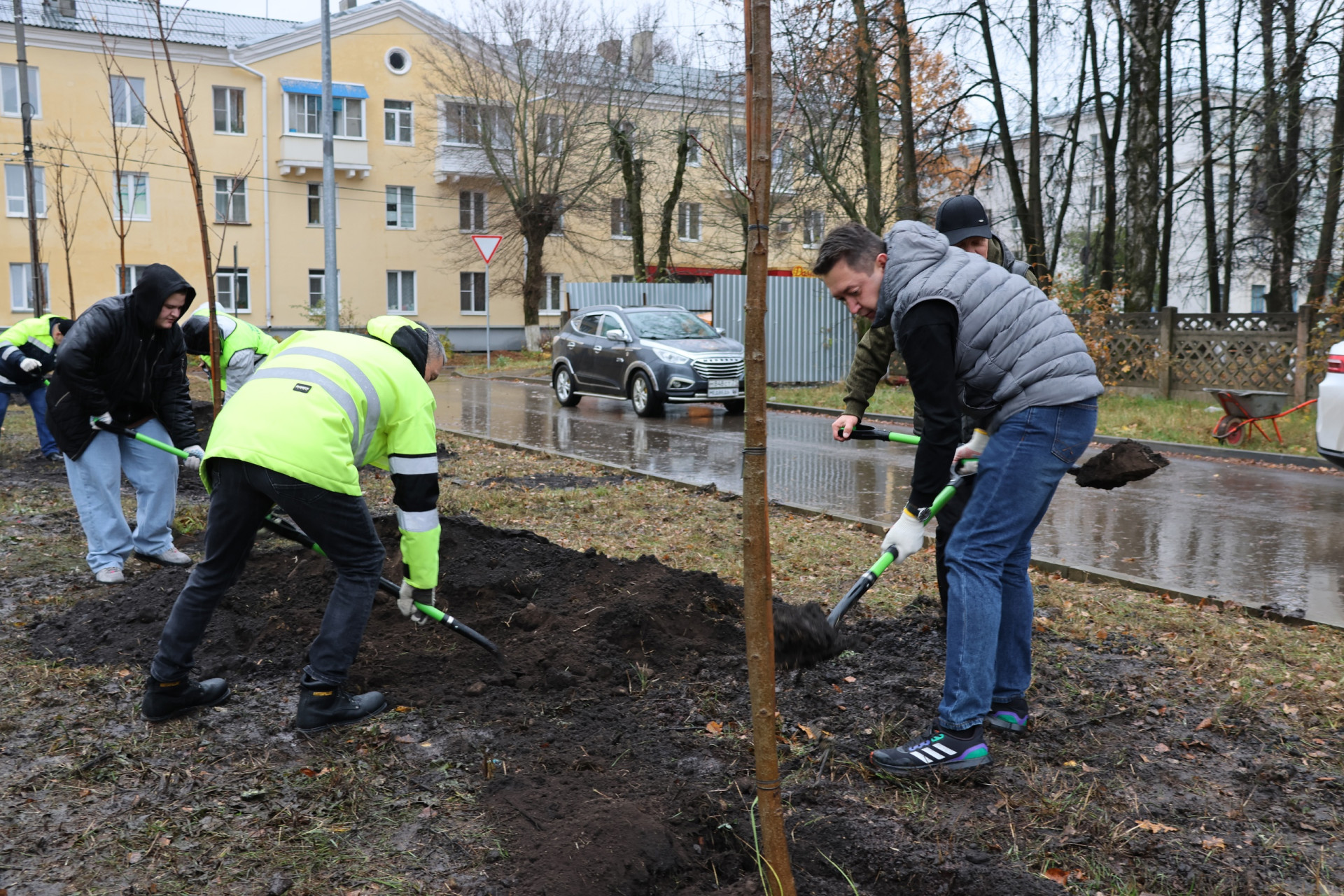 В Новомосковске высадили 20 сортовых остролистных кленов