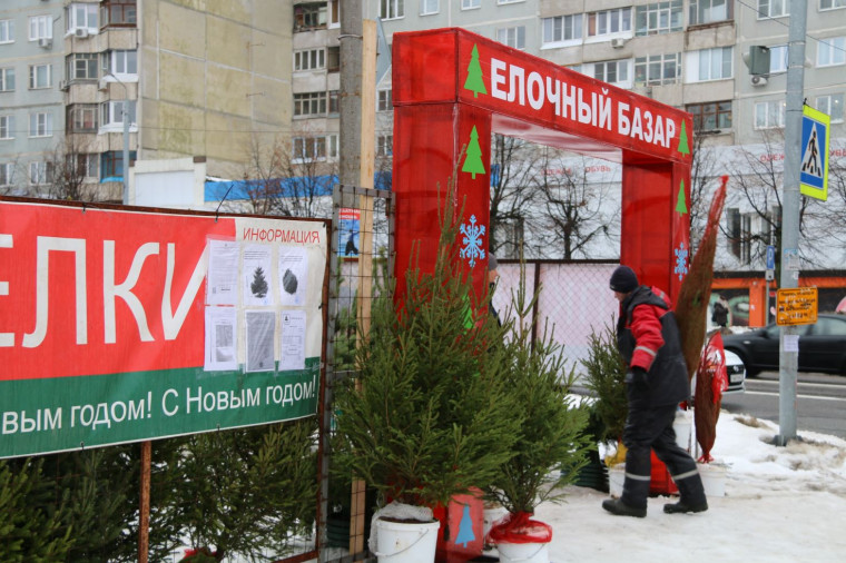 Елочные базары открылись в Туле 20 декабря