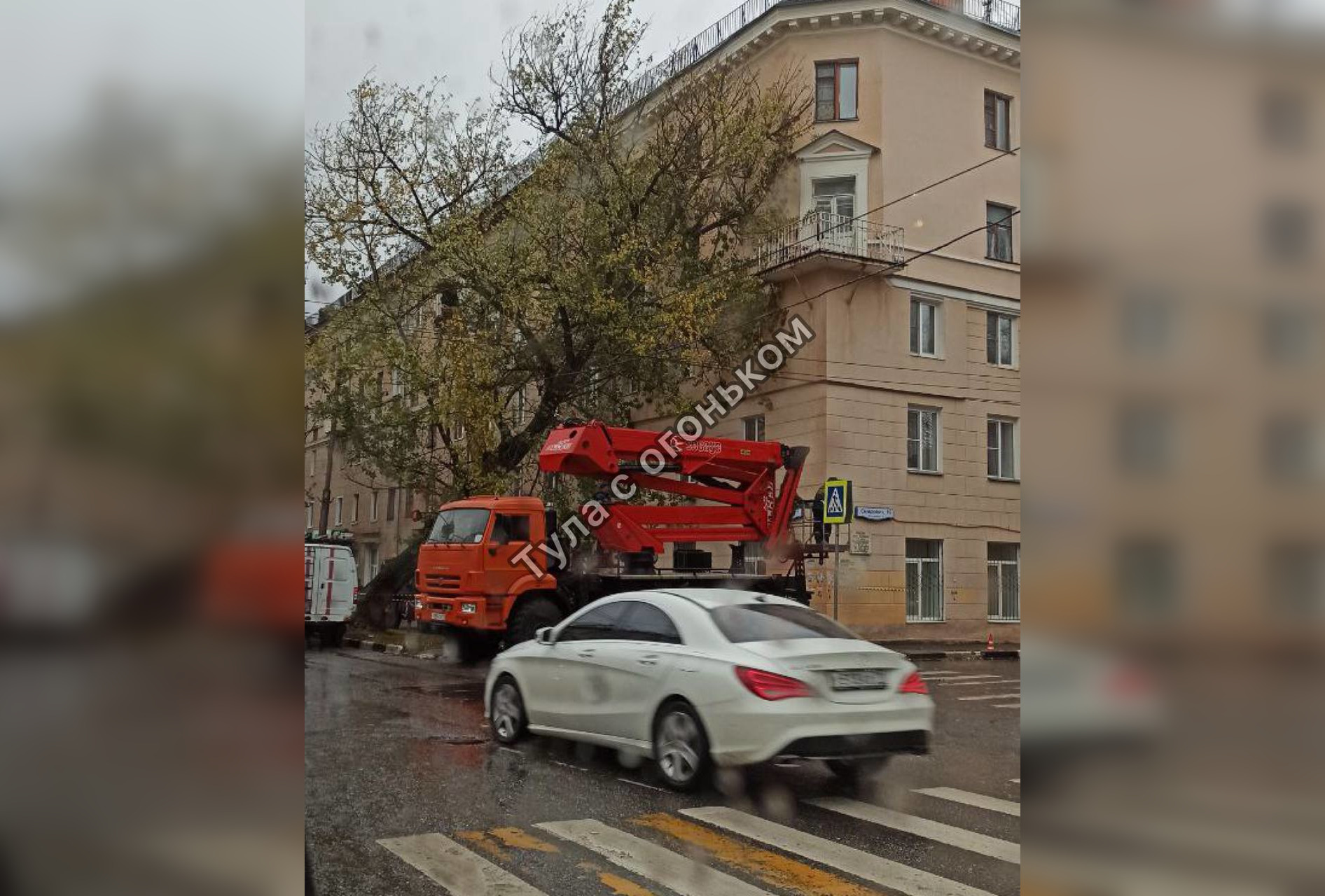 Дерево упало на дом по улице Болдина в Туле из-за сильного ветра — ТСН 24