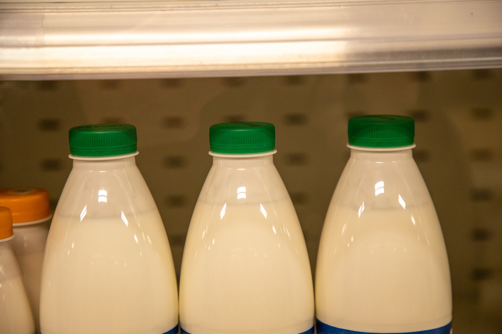Помятые консервы, испорченные продукты и насекомые: что можно считать нарушением в продуктовых магазина,  и как вести себя в такой ситуации