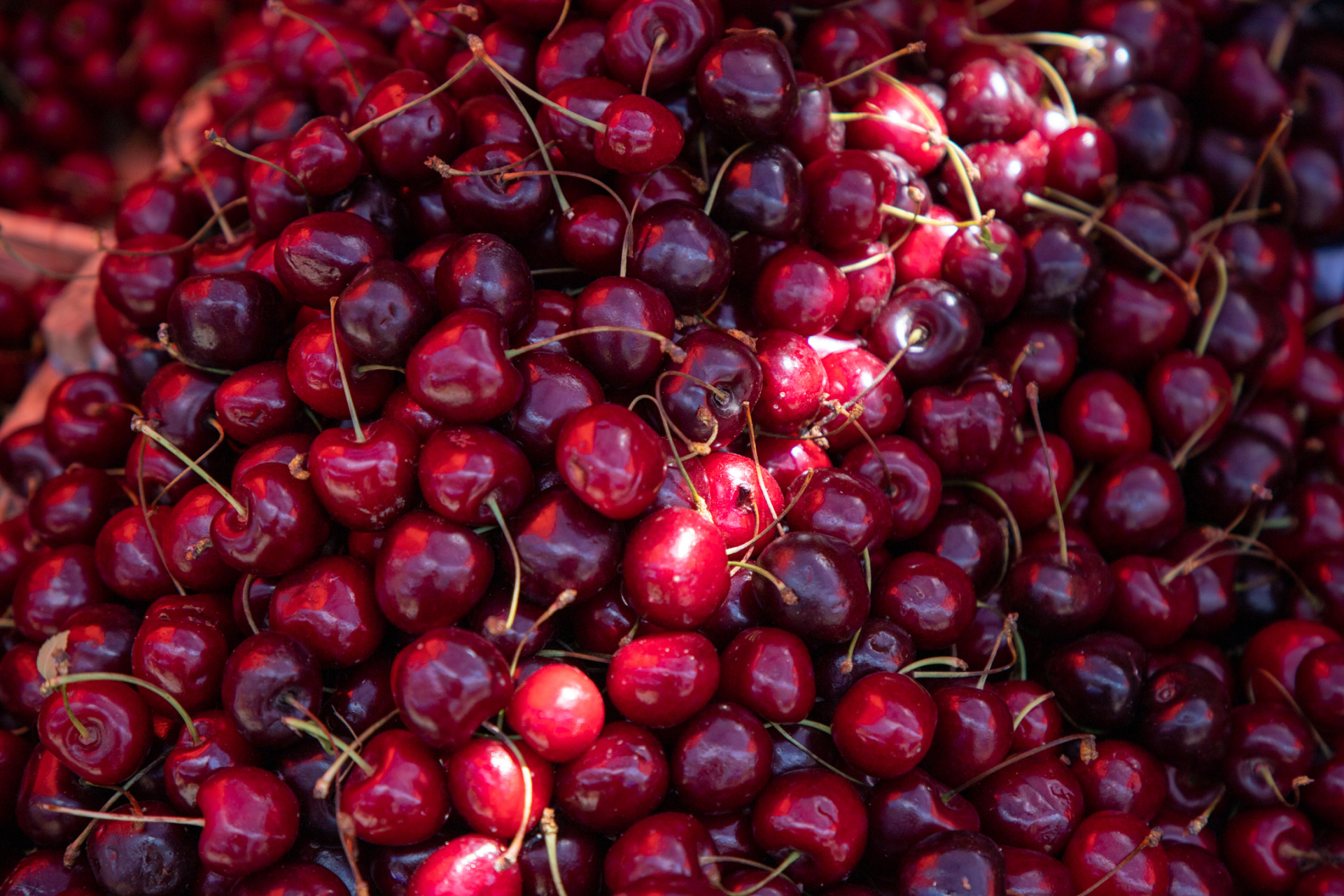 Диетолог Панкова рассказала, сколько свежих ягод можно съедать за один раз