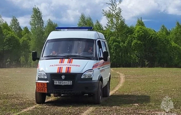 Спасатели обезвредили пять артиллерийских снарядов времен ВОВ, найденные в Плавском районе