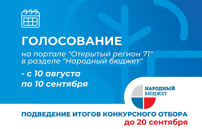 С 10 августа туляки начнут голосовать за проекты программы "Народный бюджет"