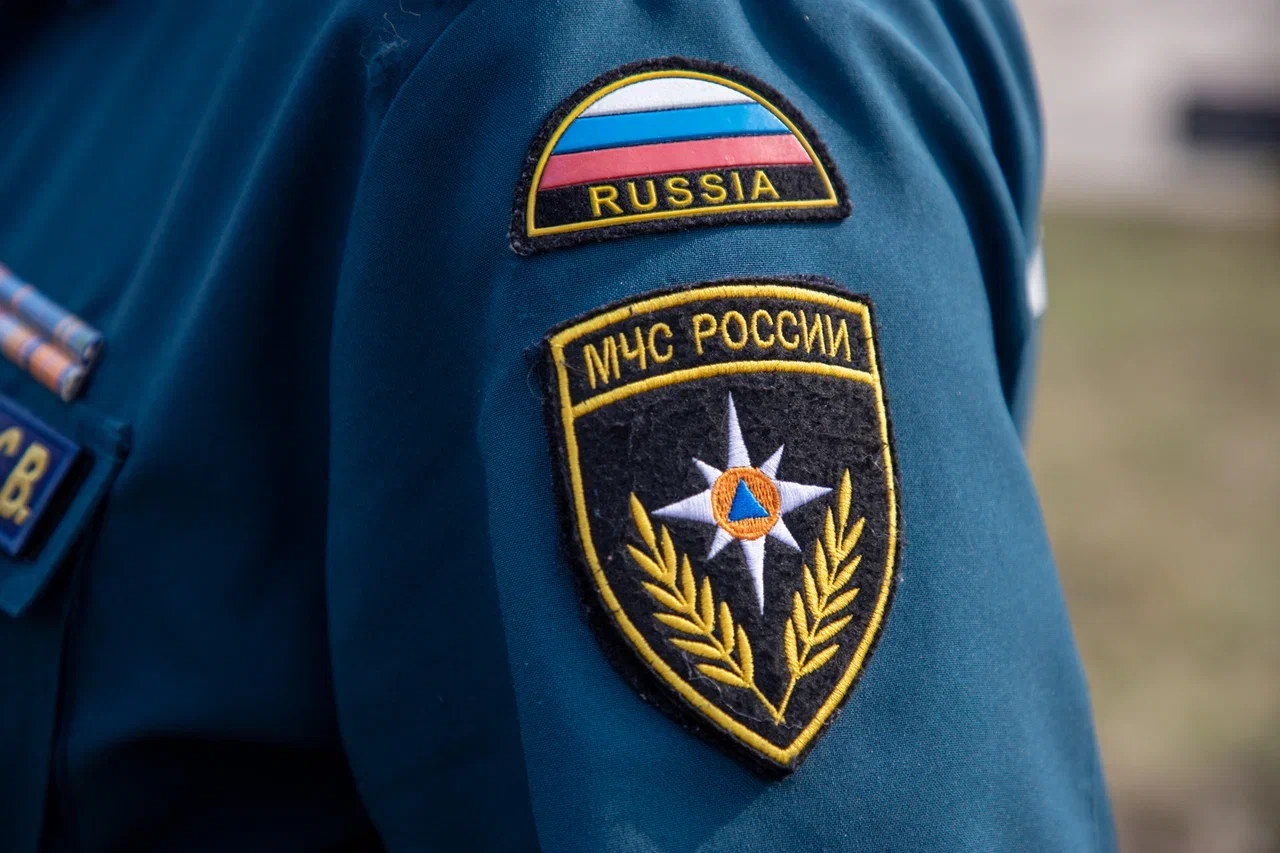 В Чернском районе поисковики нашли боеприпасы времен ВОВ
