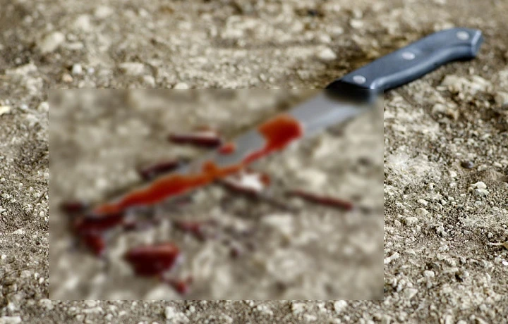 Жительница Богородицка зарезала своего сожителя кухонным ножом за алкоголизм