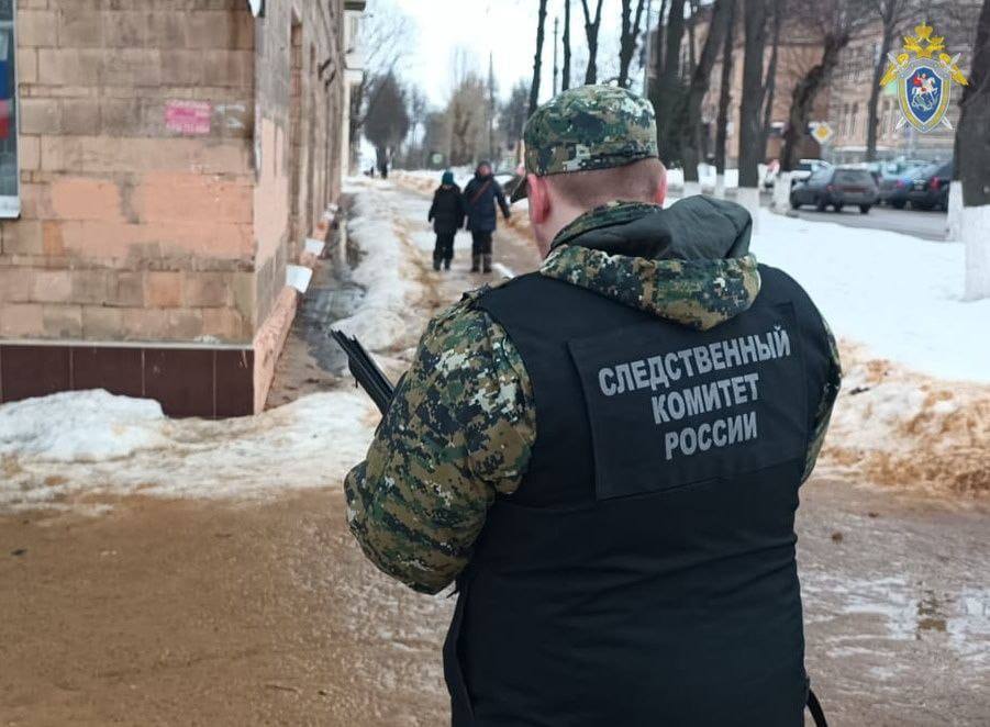 Директор УК признала вину в причинении тяжкого вреда здоровью жительницы Щекино из-за падения снега
