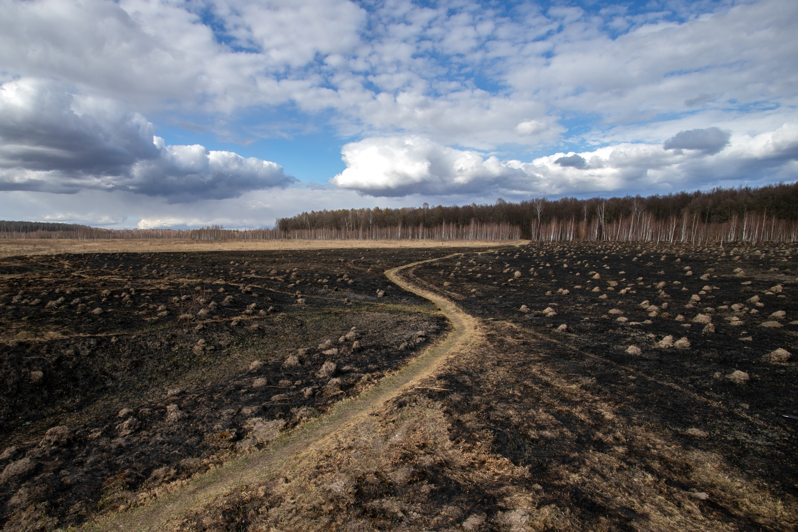 МЧС России спрогнозировало наступление пожароопасного периода в Тульской области в первую декаду апреля