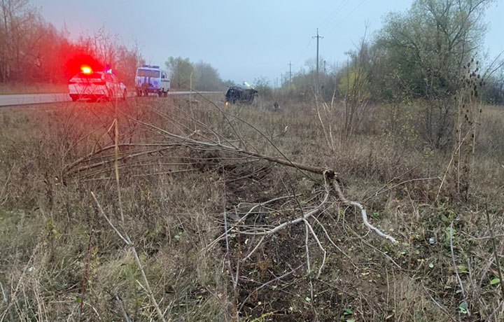 Водитель «ВАЗа» погиб в ДТП на автодороге в Ефремовском районе