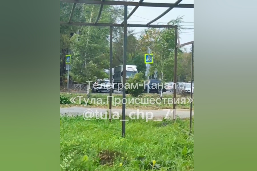 ﻿В Туле упавшее дерево перекрыло въезд на проспект Ленина с улицы Рязанской