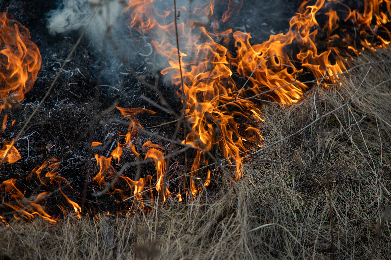С 3 по 4 июля в Тульской области ожидается высокая степень пожароопасности