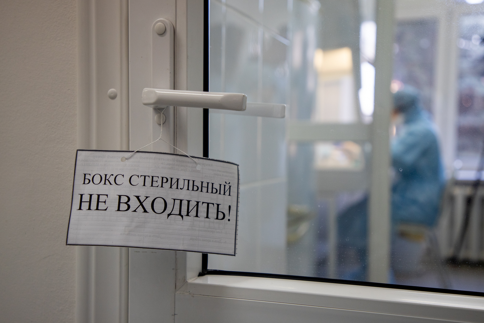 Иммунолог Болибок: Распространение оспы обезьян в России возможно в случае завоза вируса или биологической диверсии