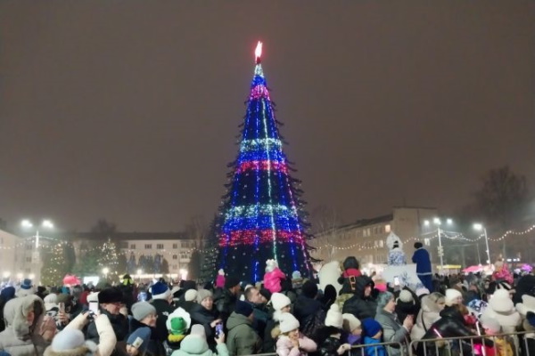 В Новомосковске зажгли огни на главной городской елке