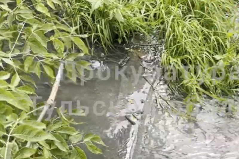 Прокуратура проверяет жалобы на загрязнение реки Бобрик в Тульской области