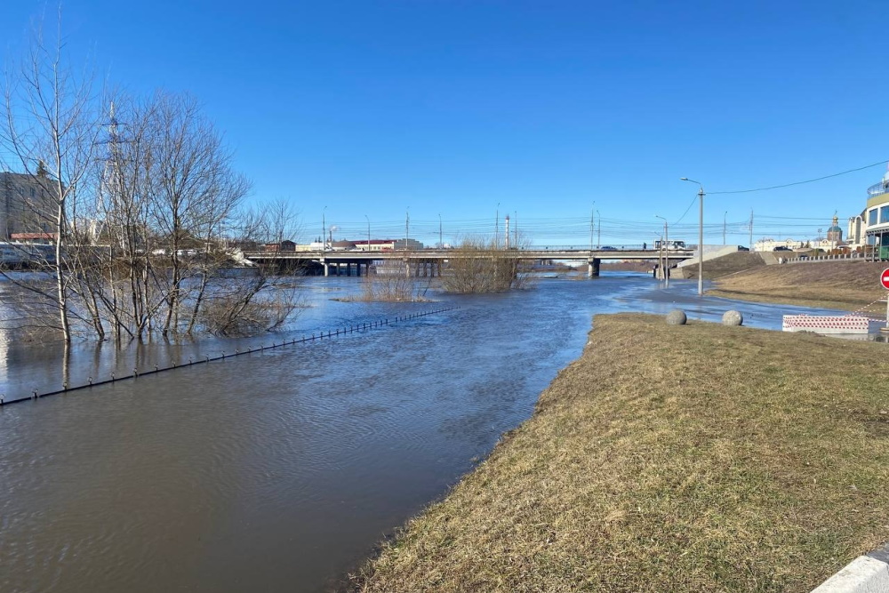 Уровень воды в реке Упа в Туле поднялся почти на пять метров
