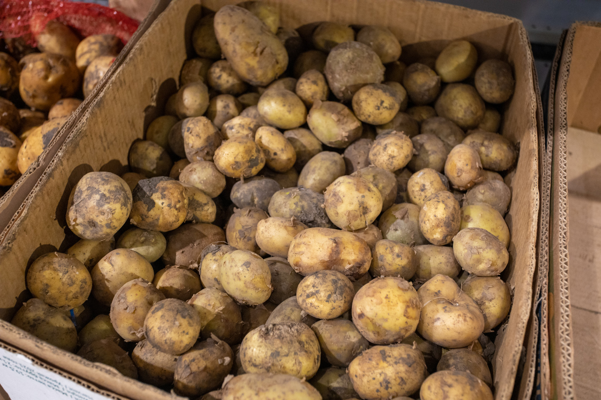 За неделю в Тульской области выросли цены на картофель, огурцы и сахар