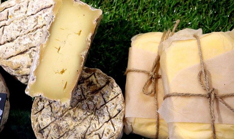 Специалисты Роспотребнадзора рассказали, как выбрать сыр с плесенью
