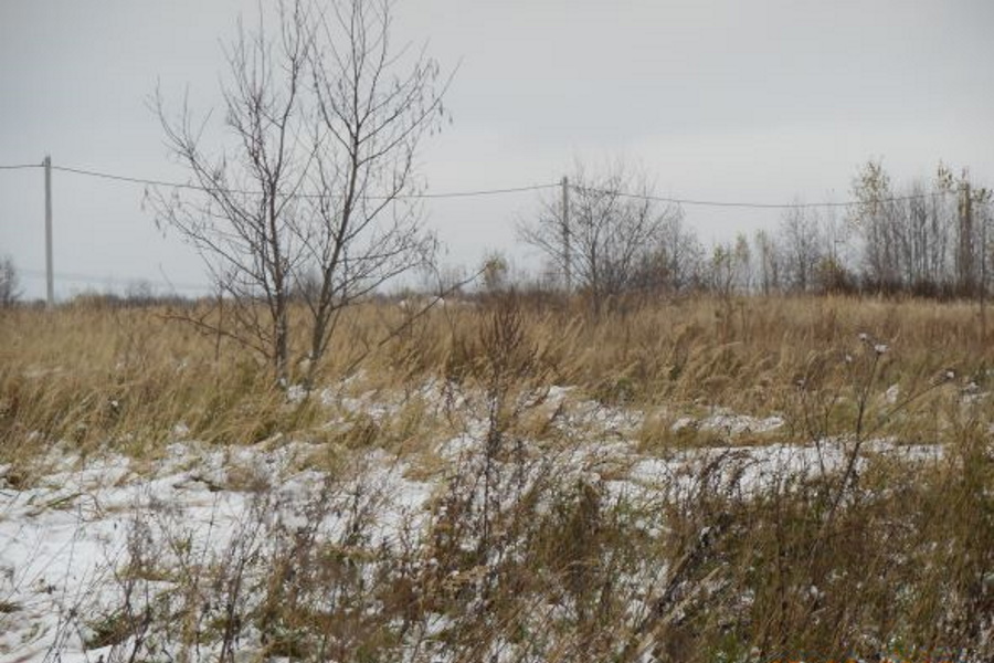 Россельхознадзор выявил свалку на землях сельхозназначения в Щекинском районе