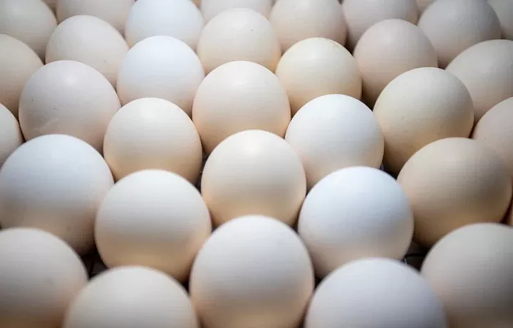 В России начали дешеветь курятина и яйца