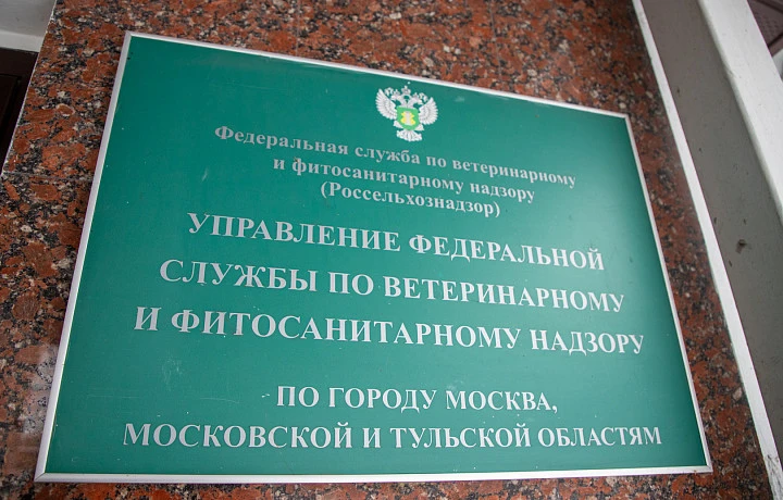 Россельхознадзор выявил нарушение при ввозе лесоматериалов в Тульскую область Россельхознадзор выявил нарушение при ввозе лесоматериалов в Тульскую область
