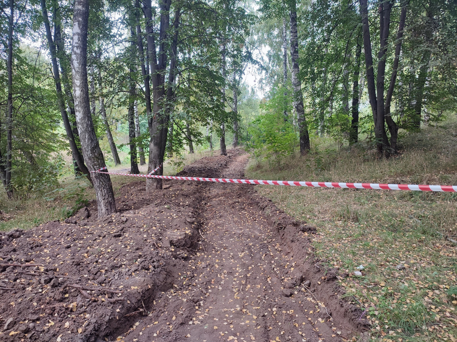 В Рогожинском парке Тулы начали благоустраивать дорожки и тропинки