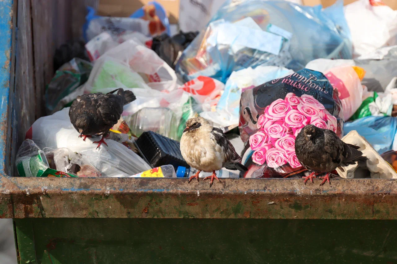 На каждого жителя Тульской области приходится 317 килограммов мусора в год