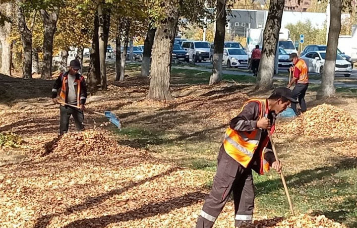 За сутки с улиц Тулы вывезли 35 кубометров смета